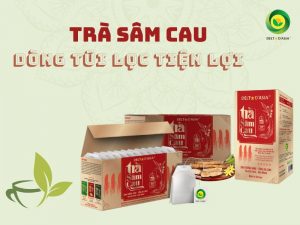 Trà sâm cau là loại trà có rất nhiều tác dụng ứng dụng trong đông y