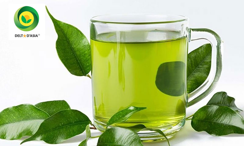 uống trà xanh mỗi ngày có tốt không