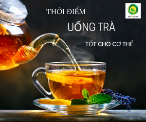 Khi nào nên uống trà cà gai leo