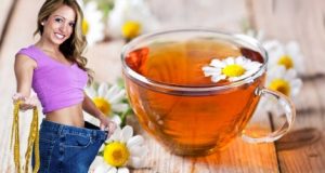 Trà hoa cúc có công dụng giảm cân và rất dễ ngủ