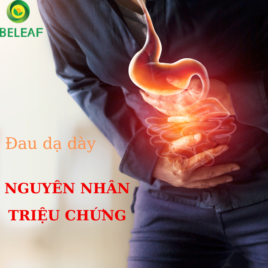 NGUYÊN NHÂN VÀ TRIỆU CHỨNG ĐAU DẠ DÀY