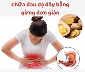 chữa đau dạ dày bằng gừng