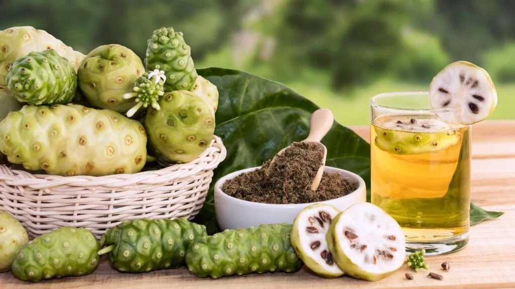 tác dụng của trà trái nhàu