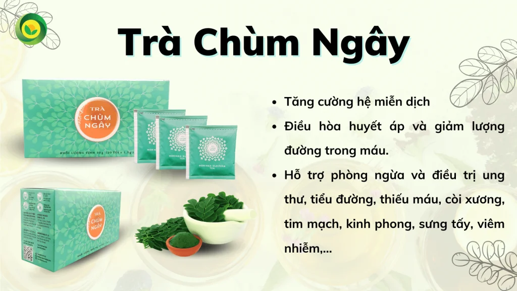 Trà túi lọc Sunbeleaf - Trà Chùm Ngây - "Siêu thực phẩm" cho sức khỏe toàn diện