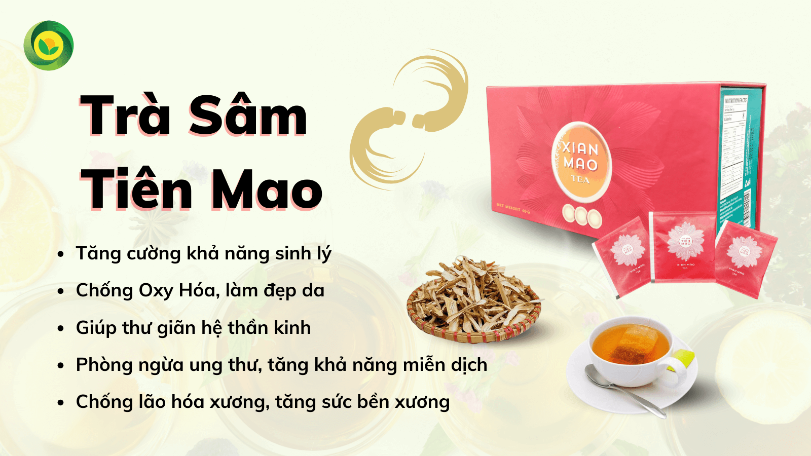Trà túi lọc Sunbeleaf - Trà Sâm Tiên Mao - Món quà sức khỏe từ thảo dược quý