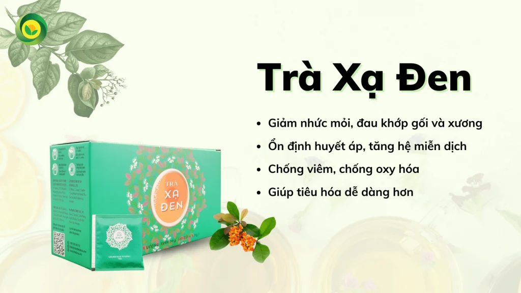 Trà túi lọc Sunbeleaf - Trà Xạ Đen - "Khắc tinh" của bệnh tiểu đường, mỡ máu