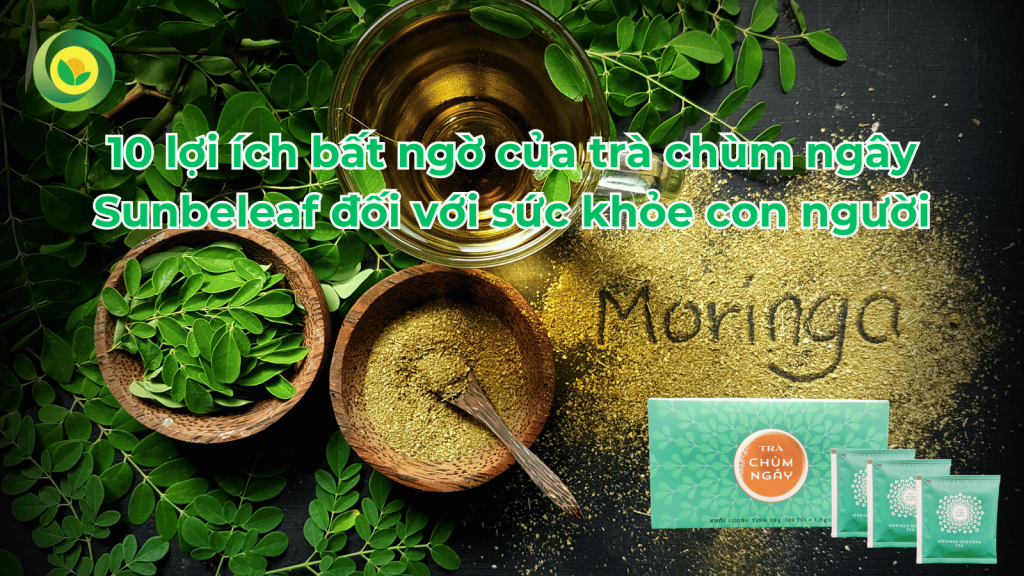 10 lợi ích bất ngờ của trà chùm ngây Sunbeleaf đối với sức khỏe con người