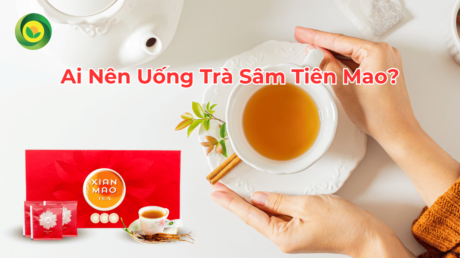 Trà Sâm Tiên Mao - Tác Dụng, Lợi Ích Và Địa Chỉ Mua Hàng Uy Tín