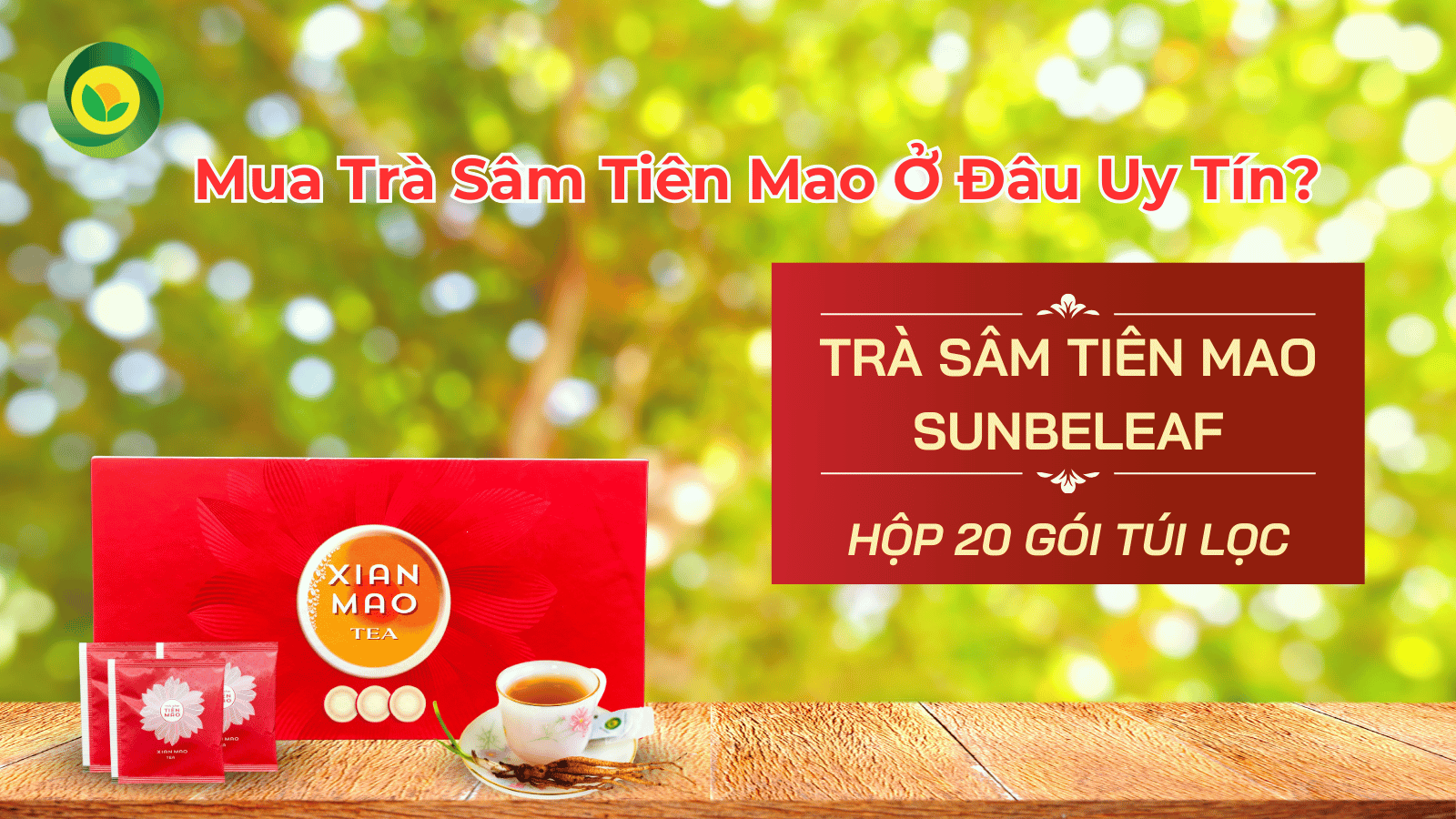 Trà Sâm Tiên Mao - Tác Dụng, Lợi Ích Và Địa Chỉ Mua Hàng Uy Tín