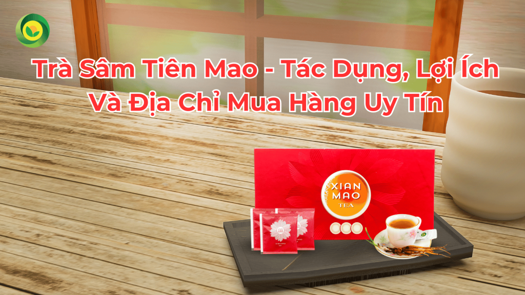 Trà Sâm Tiên Mao - Tác Dụng, Lợi Ích Và Địa Chỉ Mua Hàng Uy Tín