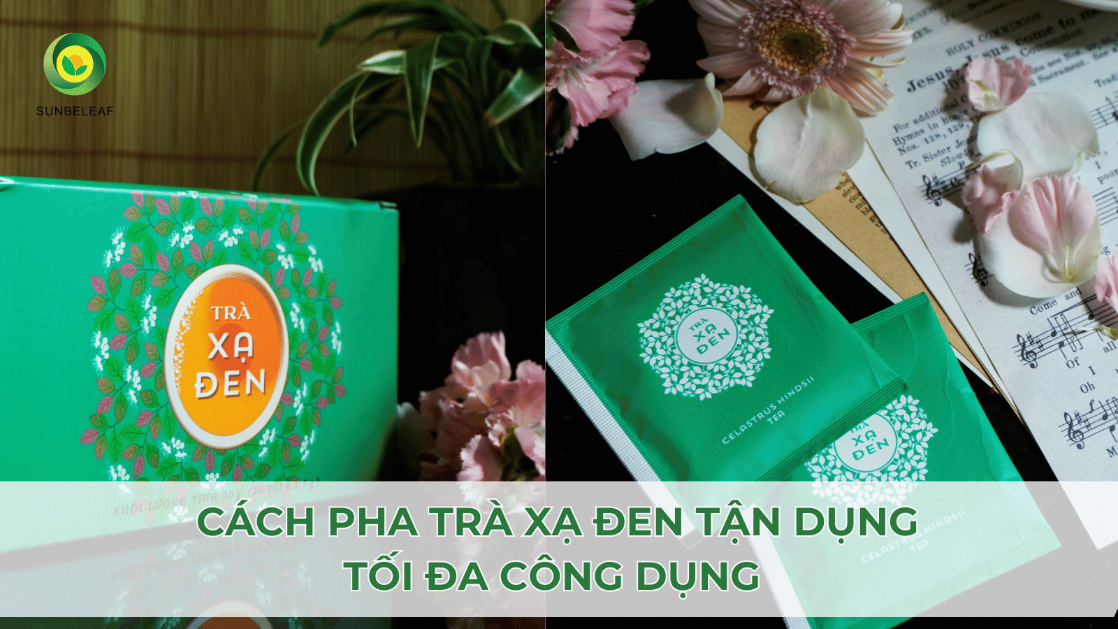 5 Cách Pha Trà Thảo Mộc Sunbeleaf Giữ Nguyên Hương Vị Và Công Dụng