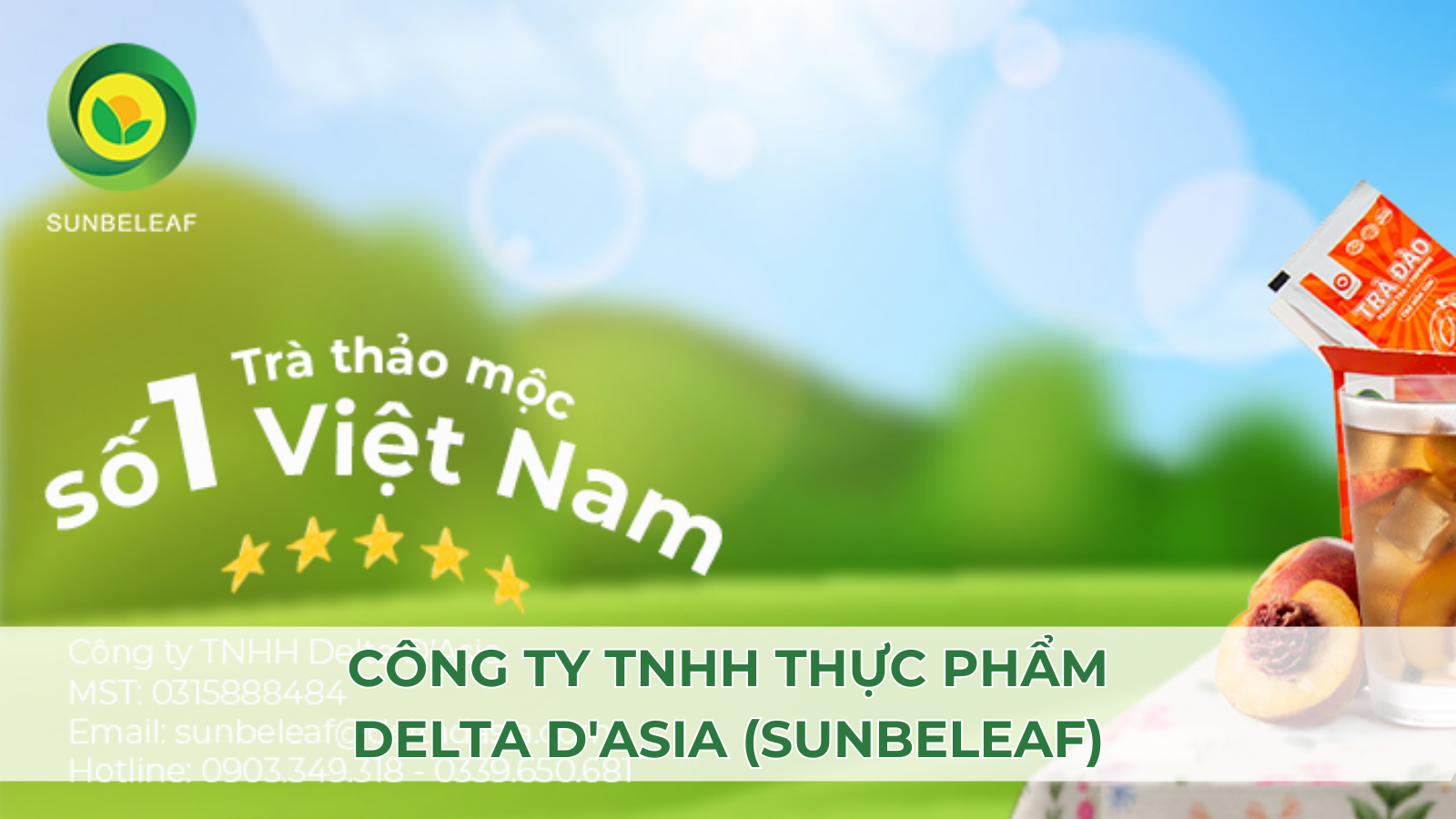 TOP 5 Địa Chỉ Cung Cấp Trà Thảo Mộc Giá Sỉ Uy Tín 2025