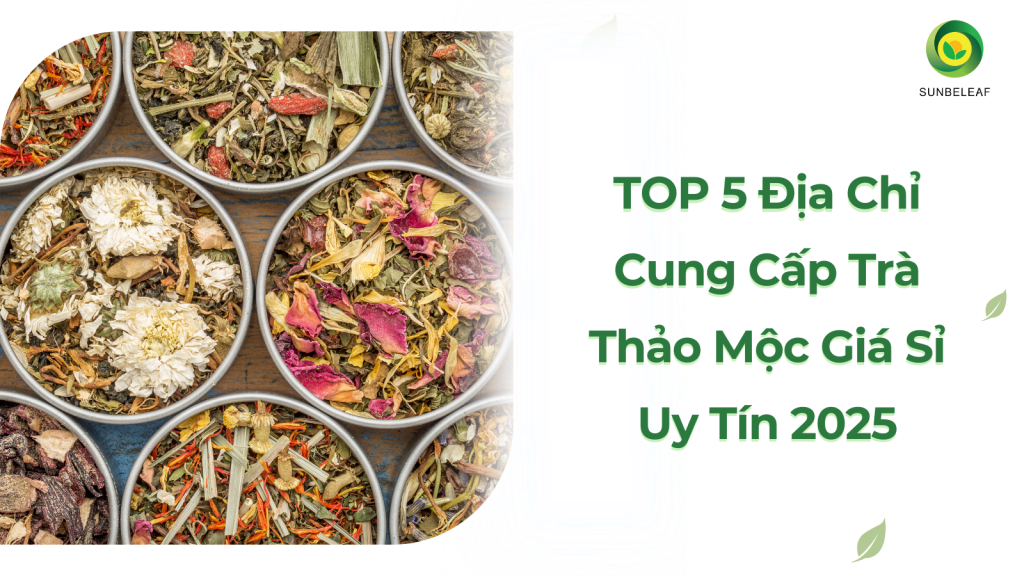TOP 5 Địa Chỉ Cung Cấp Trà Thảo Mộc Giá Sỉ Uy Tín 2025