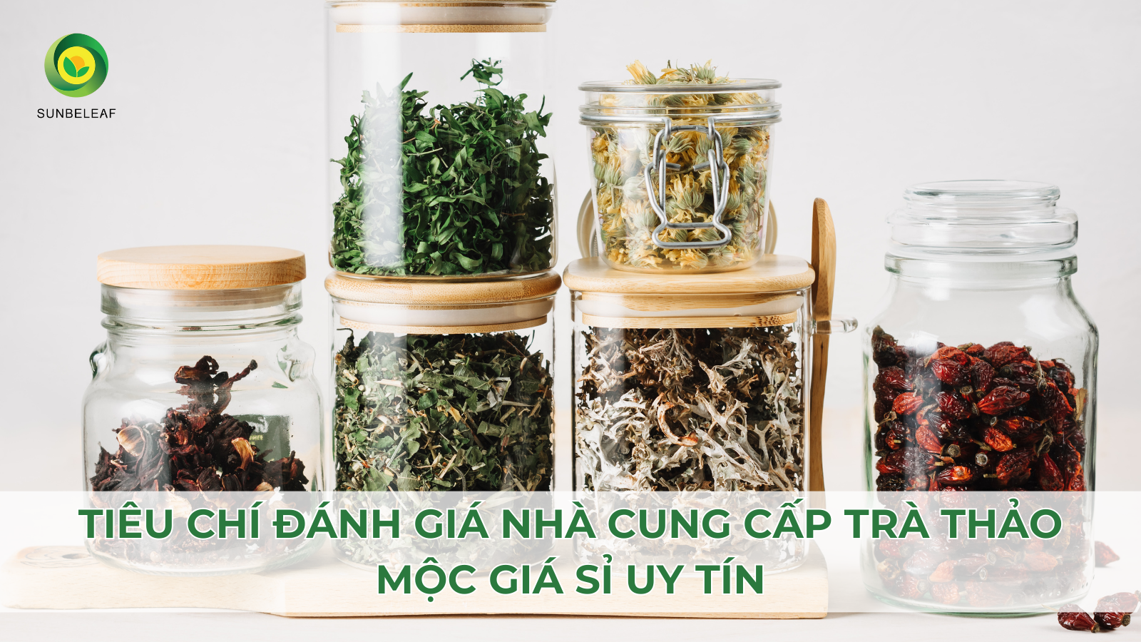 TOP 5 Địa Chỉ Cung Cấp Trà Thảo Mộc Giá Sỉ Uy Tín 2025