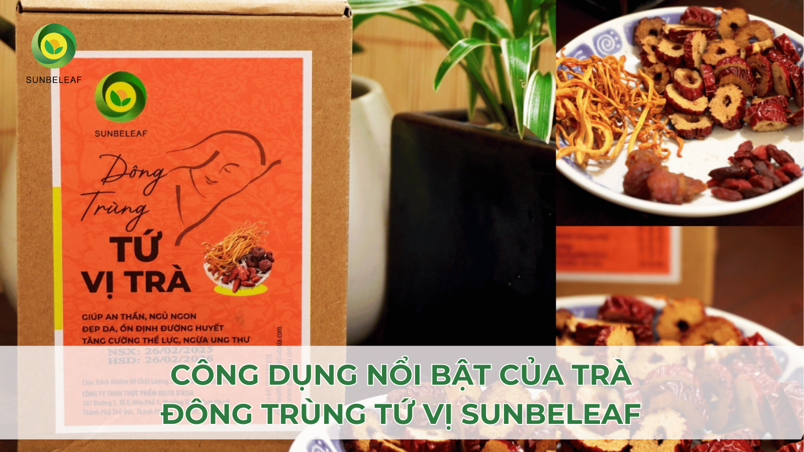 Trà Đông Trùng Tứ Vị SunBeleaf - Trà Thảo Mộc Hot Trend Nhất 2025