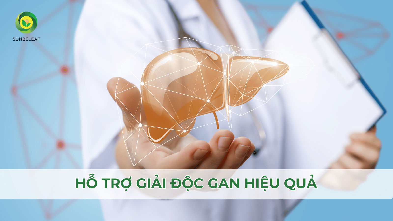 Khám Phá 5 Lợi Ích Hỗ Trợ Gan Của Trà Thảo Mộc Cà Gai Leo