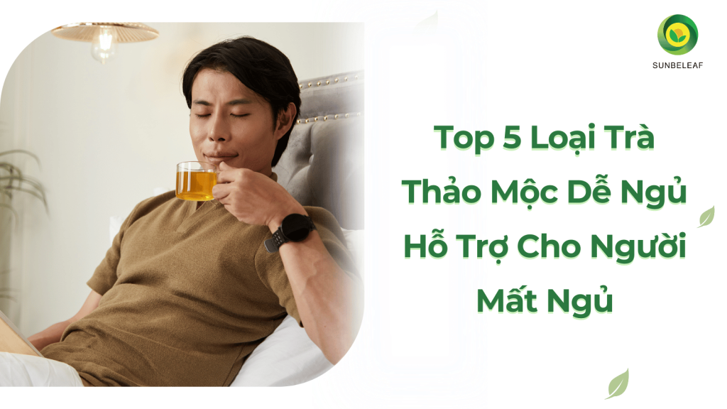 Top 5 Loại Trà Thảo Mộc Dễ Ngủ Hỗ Trợ Cho Người Mất Ngủ