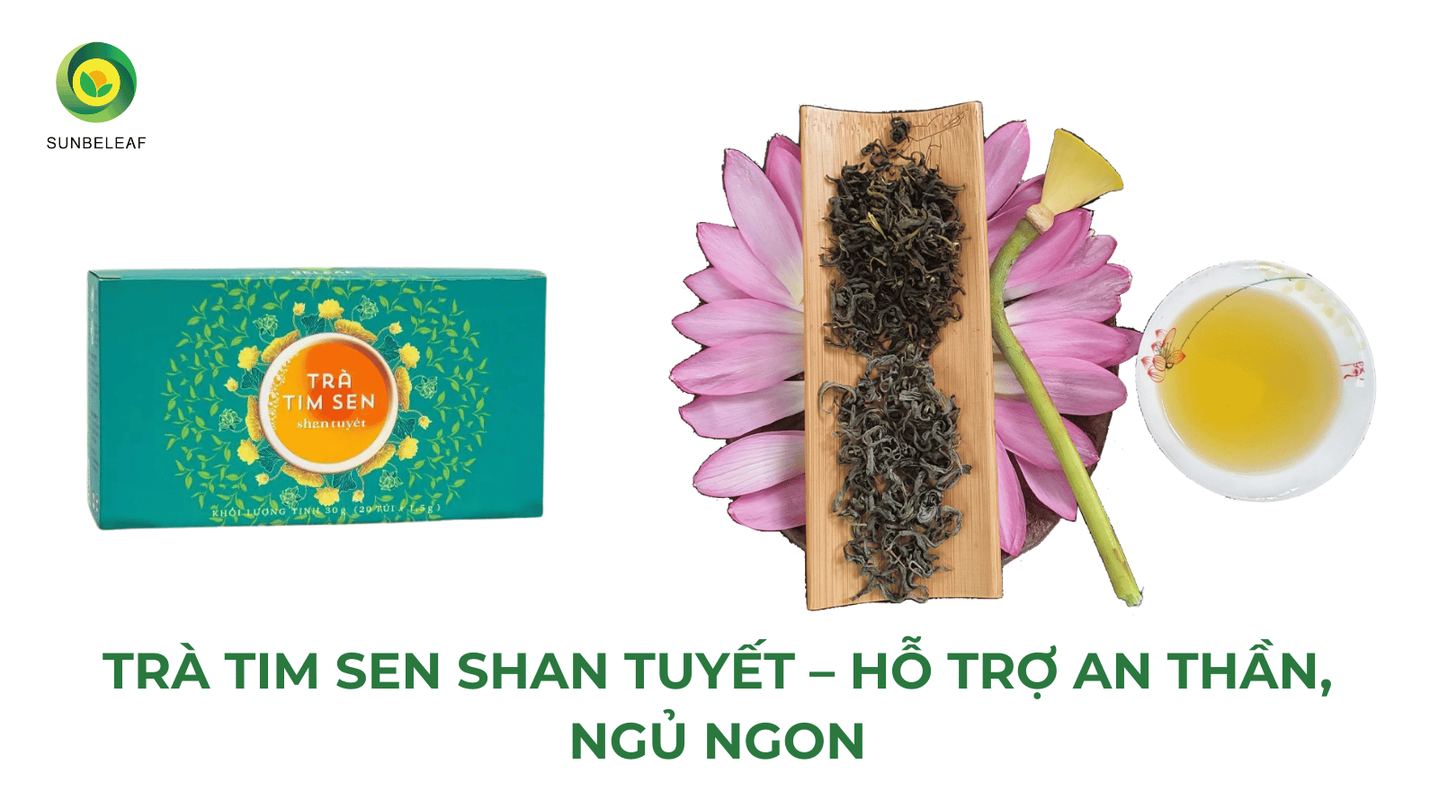 Top 5 Loại Trà Thảo Mộc Dễ Ngủ Hỗ Trợ Cho Người Mất Ngủ
