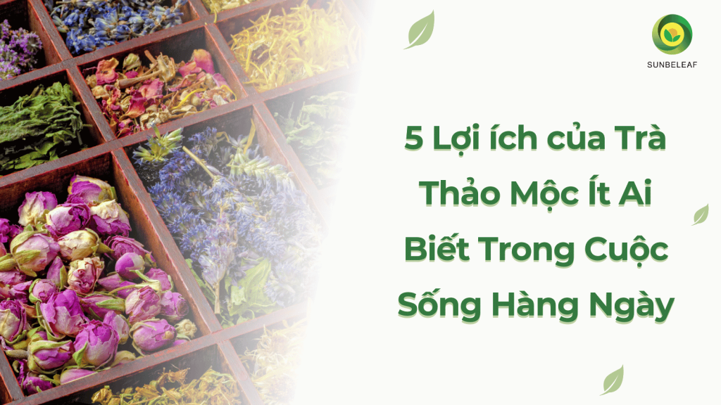 5 Lợi ích của Trà Thảo Mộc Ít Ai Biết Trong Cuộc Sống Hàng Ngày