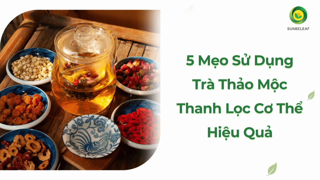 5 Mẹo Sử Dụng Trà Thảo Mộc Thanh Lọc Cơ Thể Hiệu Quả