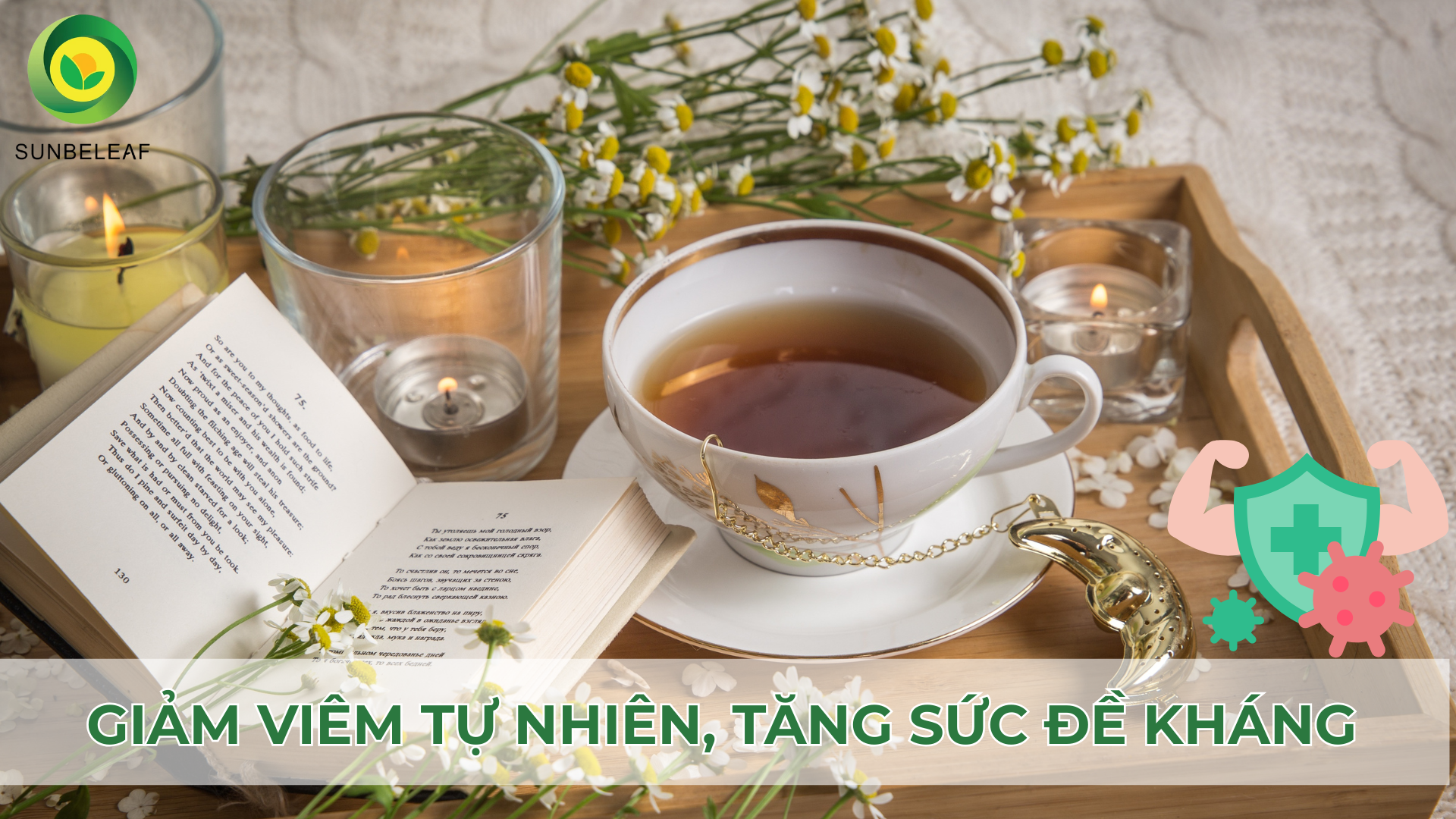 Khám Phá 4 Công Dụng Tuyệt Vời Của Trà Hoa Cúc SunBeleaf