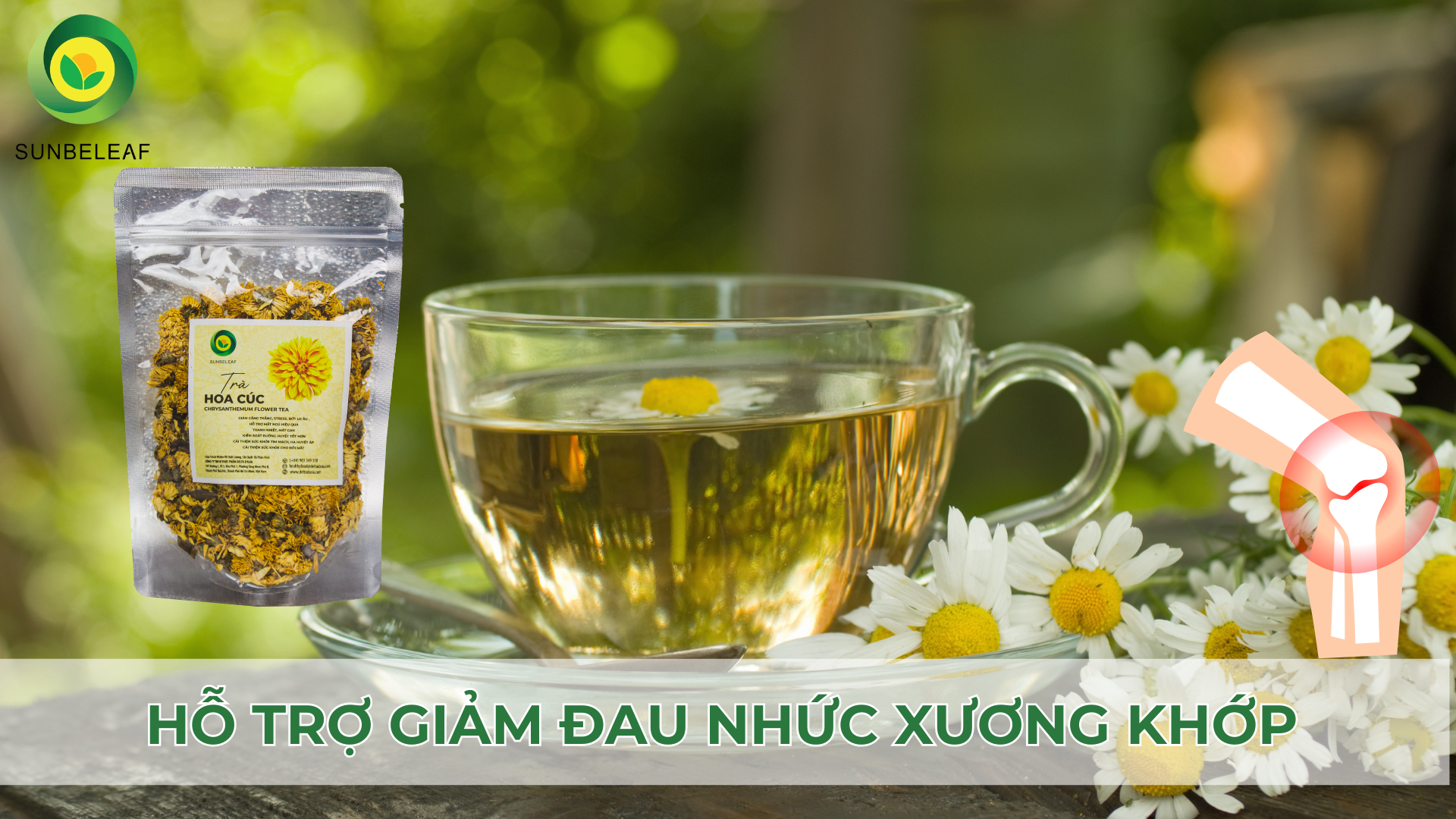 Khám Phá 4 Công Dụng Tuyệt Vời Của Trà Hoa Cúc SunBeleaf