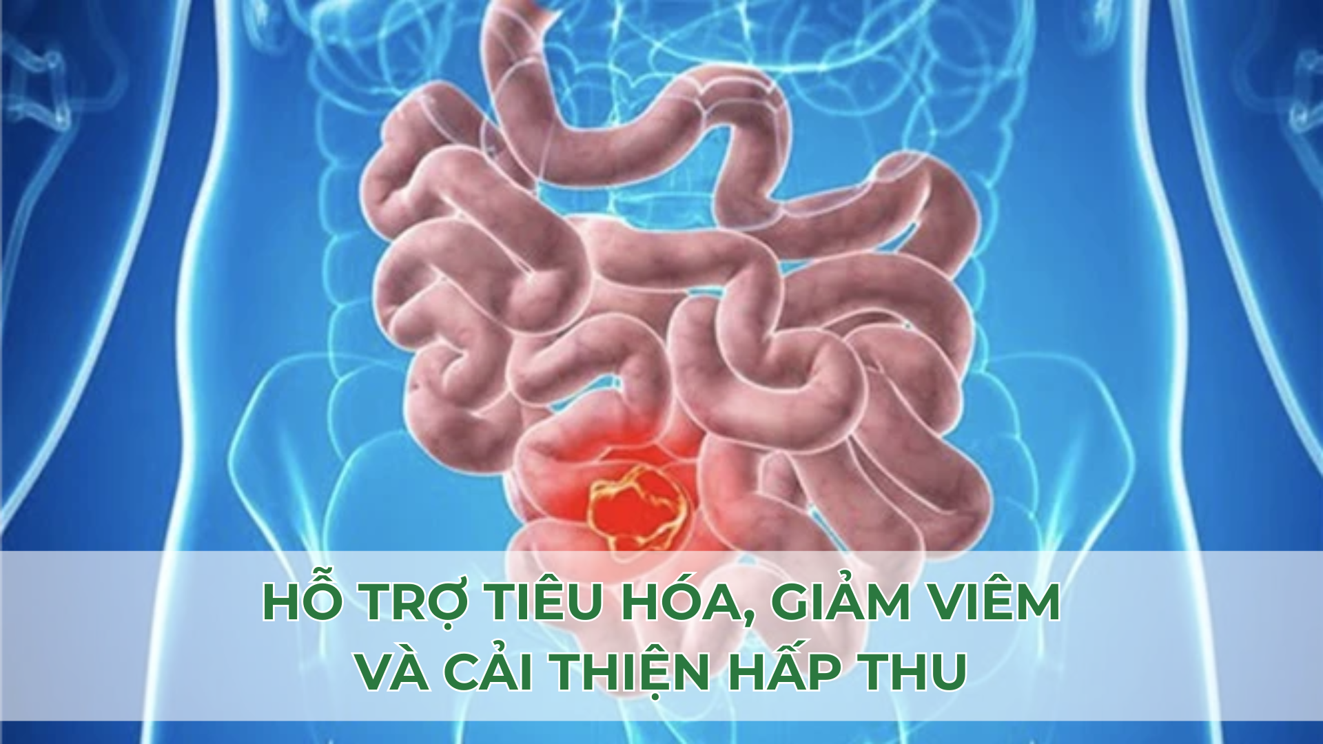 4 Lợi Ích Tuyệt Vời Của Trà Đen: Tốt Cho Tim Mạch, Não Bộ Và Tiêu Hóa