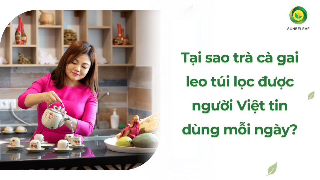 Tại sao trà cà gai leo túi lọc được người Việt tin dùng mỗi ngày?