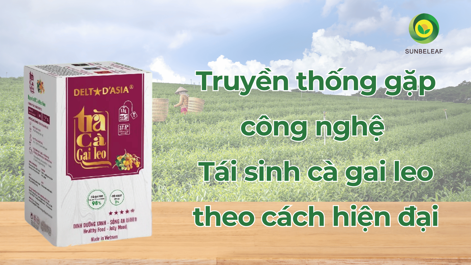 Tại sao trà cà gai leo túi lọc được người Việt tin dùng mỗi ngày?
