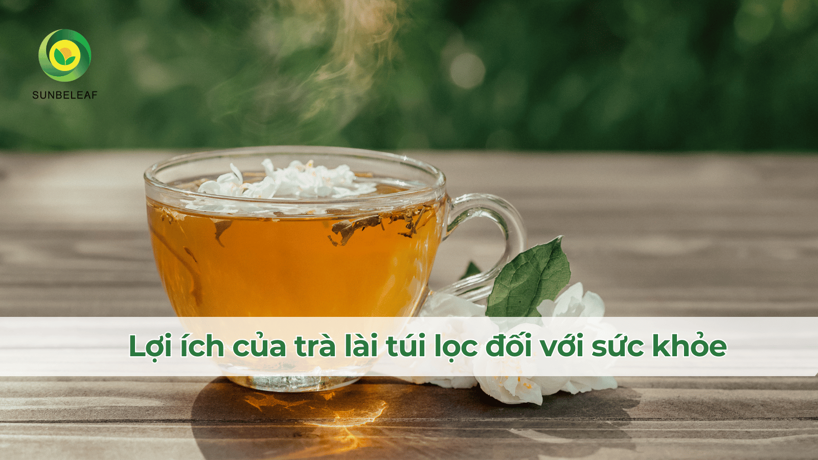 Trà lài túi lọc – Thức uống thanh tao giúp thư giãn và cải thiện giấc ngủ