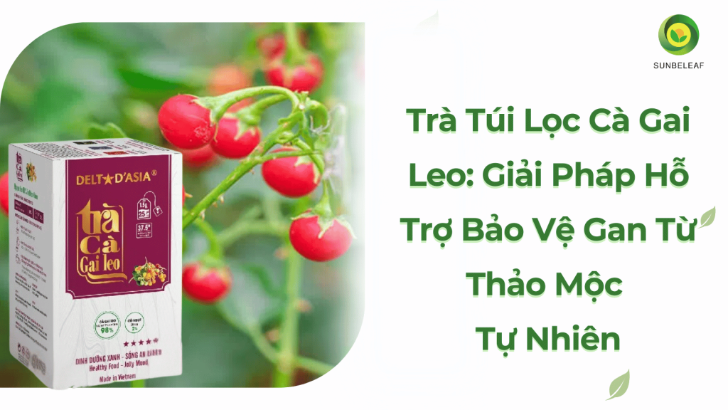 Trà Túi Lọc Cà Gai Leo: Giải Pháp Hỗ Trợ Bảo Vệ Gan Từ Thảo Mộc Tự Nhiên
