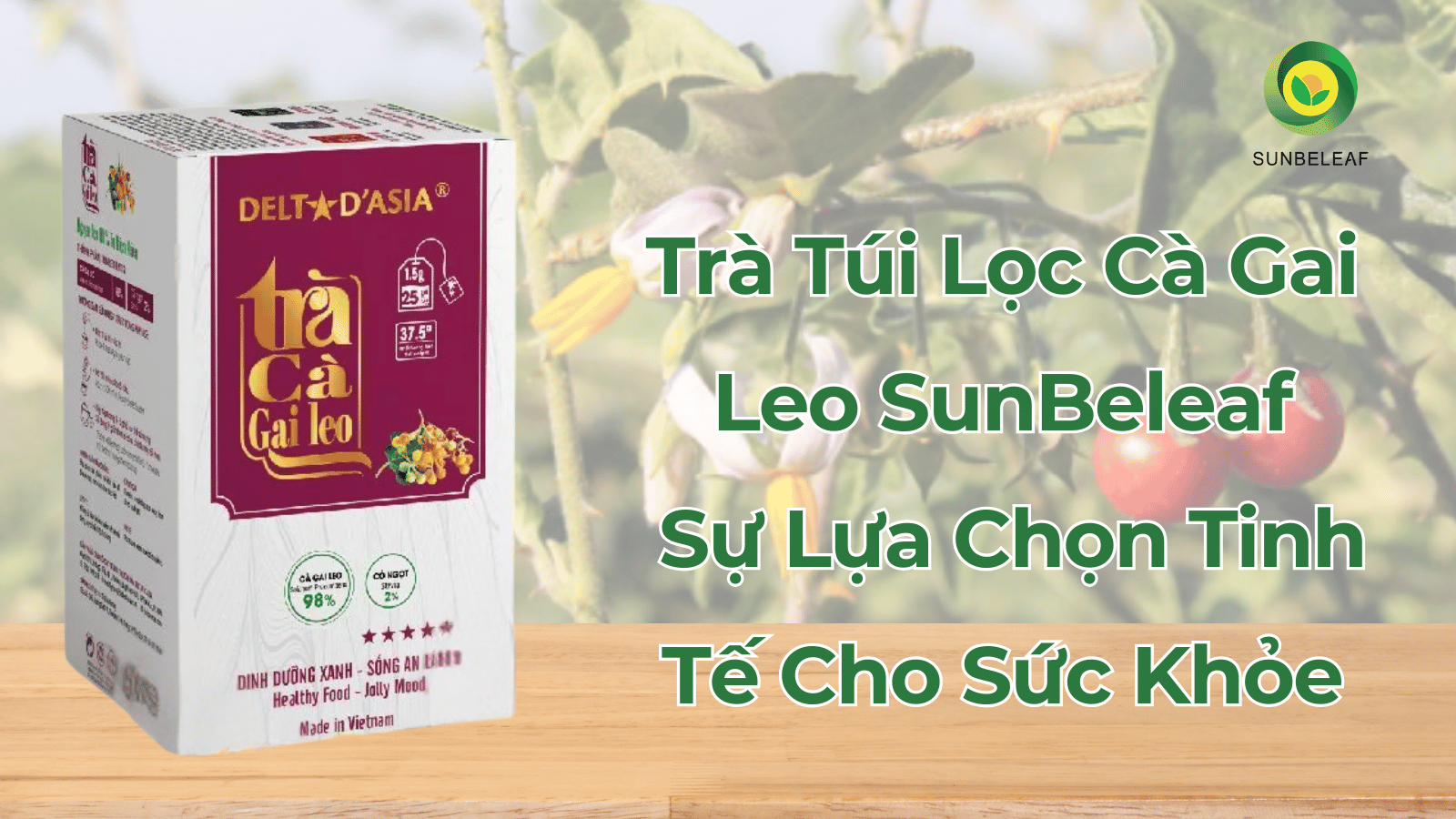 Trà Túi Lọc Cà Gai Leo: Giải Pháp Hỗ Trợ Bảo Vệ Gan Từ Thảo Mộc Tự Nhiên