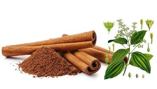 quế có tác dụng gì